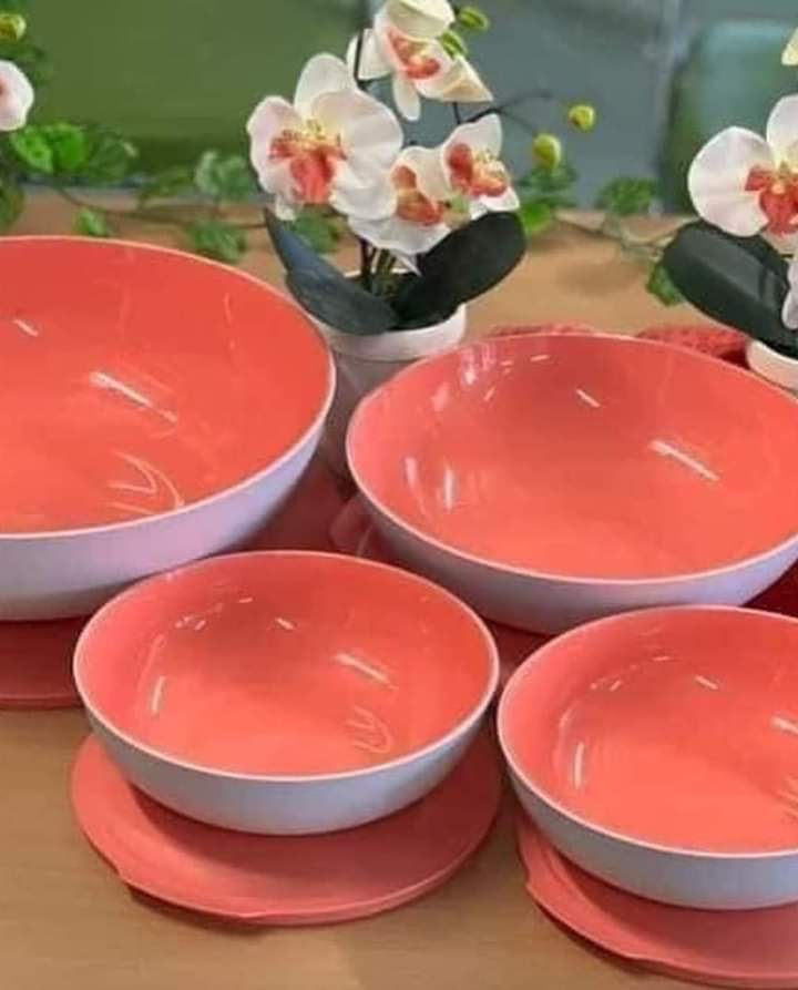 Saladeira Allegra Salmão 1,5L