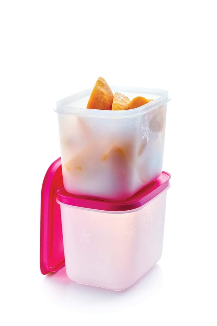 Congeladora 1,1L