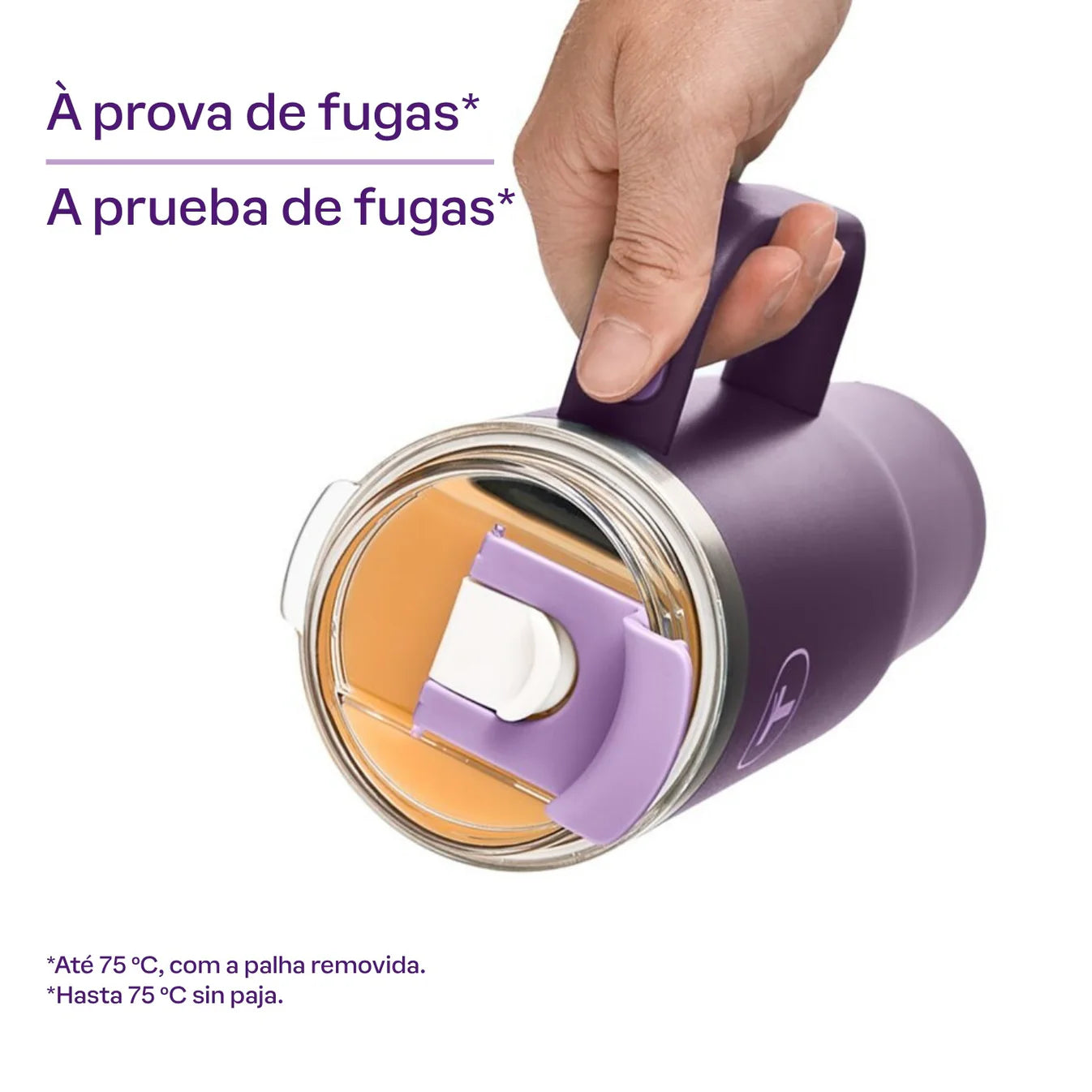 Big T 1,1L - Catálogo Geral