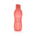 EcoGarrafa Melancia 1L