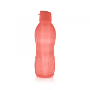 EcoGarrafa Melancia 1L
