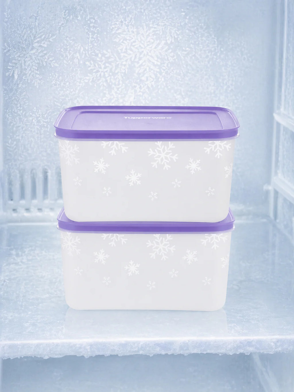 Conjunto Congeladoras 2,5L(2) - Catálogo Geral