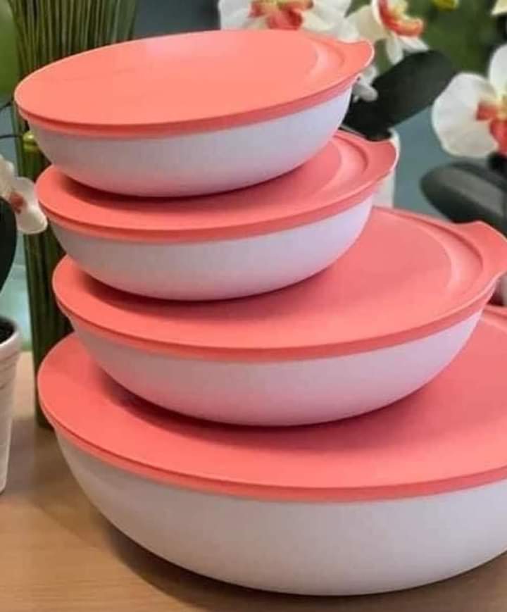 Saladeira Allegra Salmão 1,5L